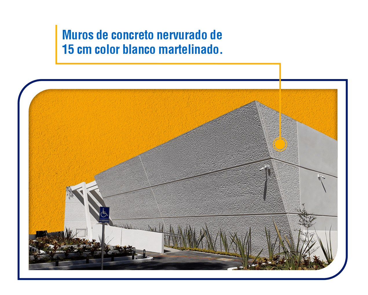 Banner del proyecto